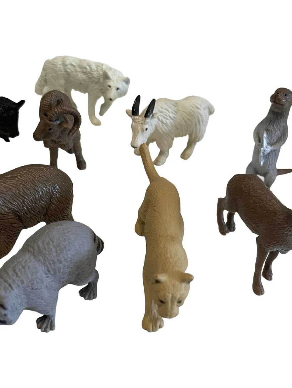 Safari Brand Animals Figures Toys, Realistic Jungle Zoo Animal Figurines - 11